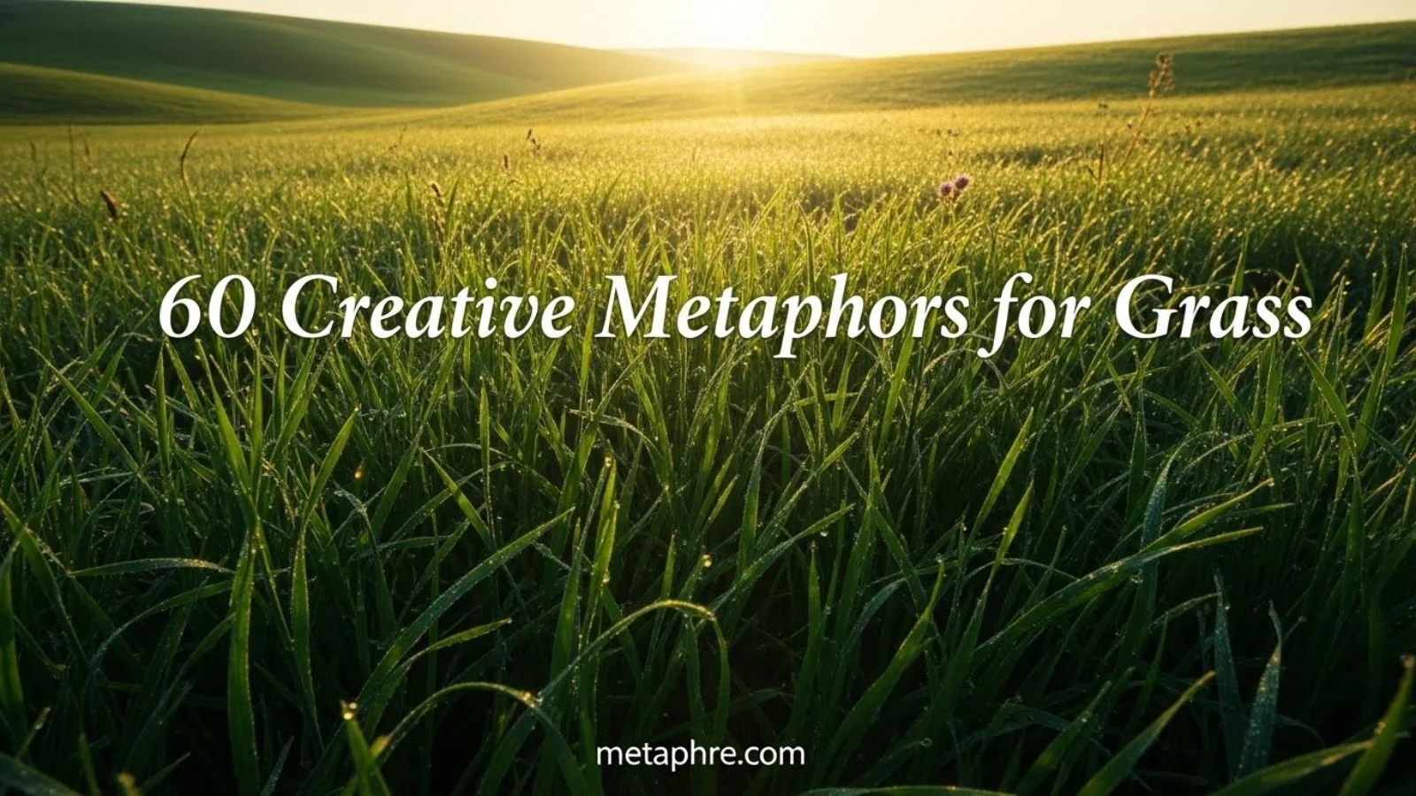 Metaphors for Grass