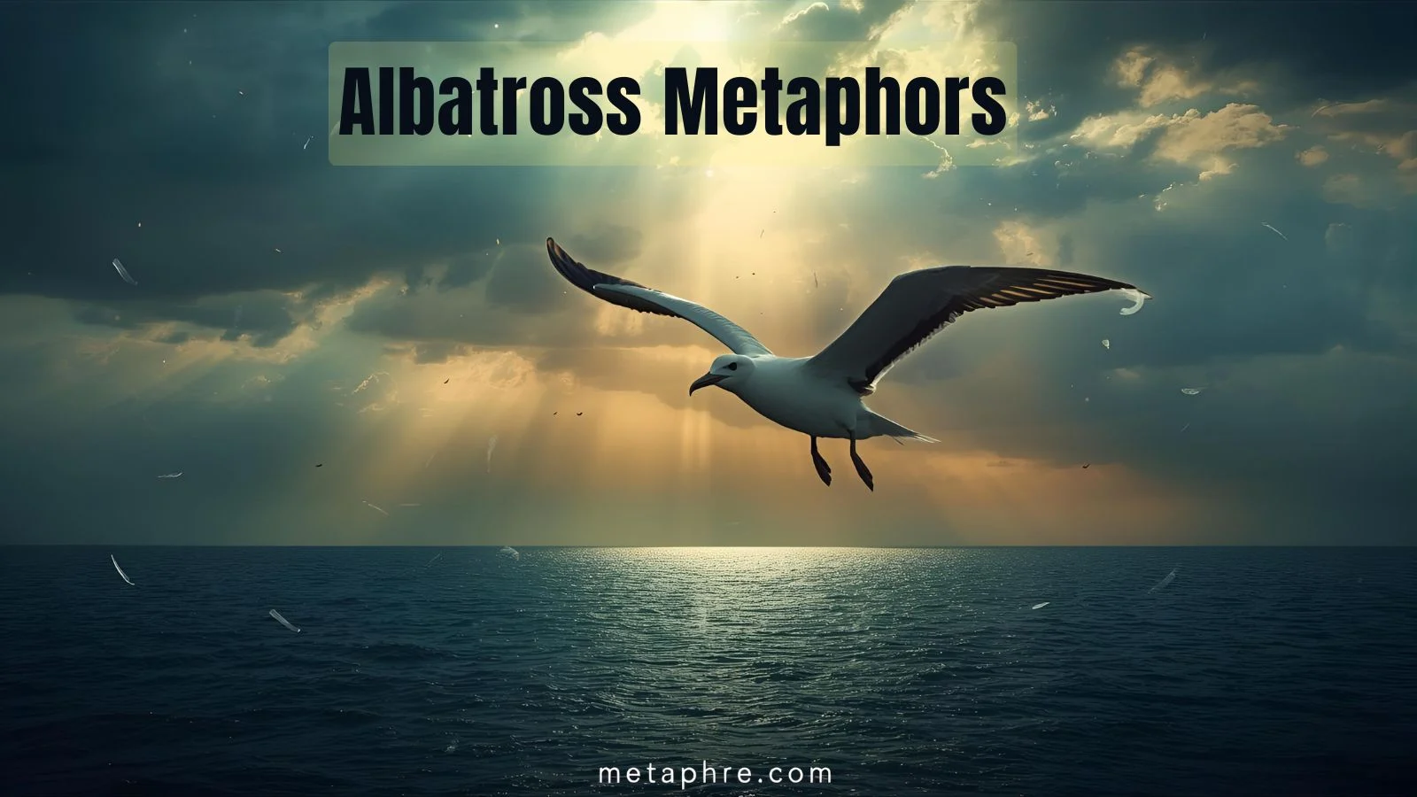 Albatross Metaphor