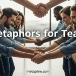 Metaphors for Team