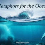 Metaphors for the Ocean